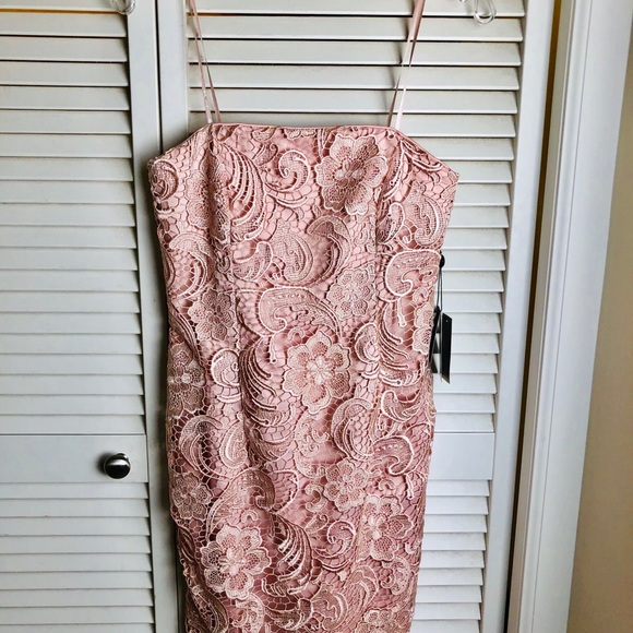 NWT ADRIANNA PAPEL PINK LACE STRAPLESS DRESS - Picture 2 of 5